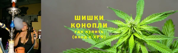 амф Алзамай